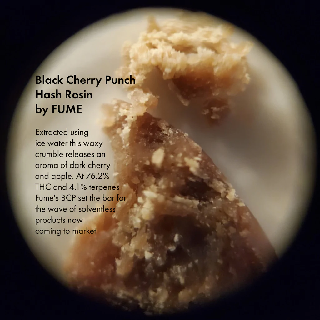 Black Cherry Punch Hash Rosin by FUME Labs: Canadian Cannabis Solventless Concentrate Review and Photo